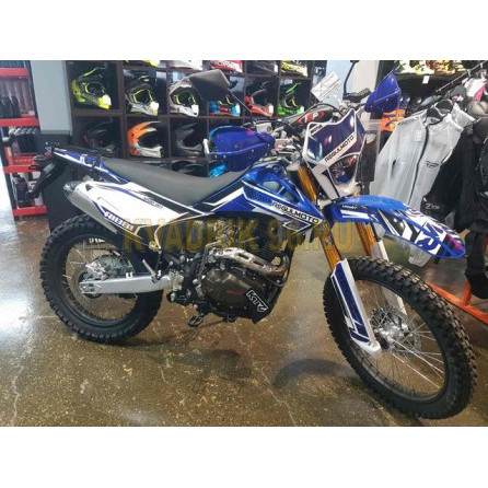 Защита KTZ для мотоцикла Regulmoto Sport 003 250 PR